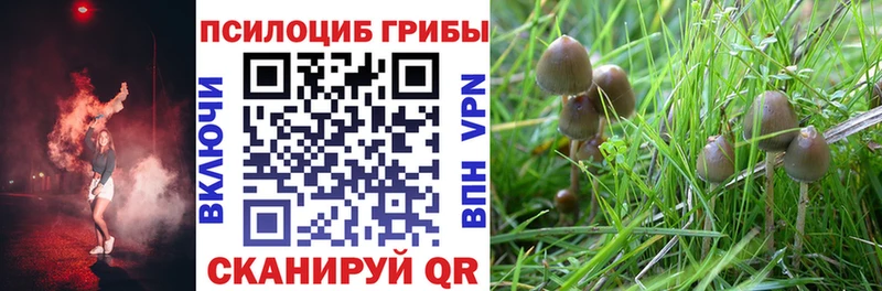 наркошоп  мега как зайти  Псилоцибиновые грибы мухоморы  Кемь 